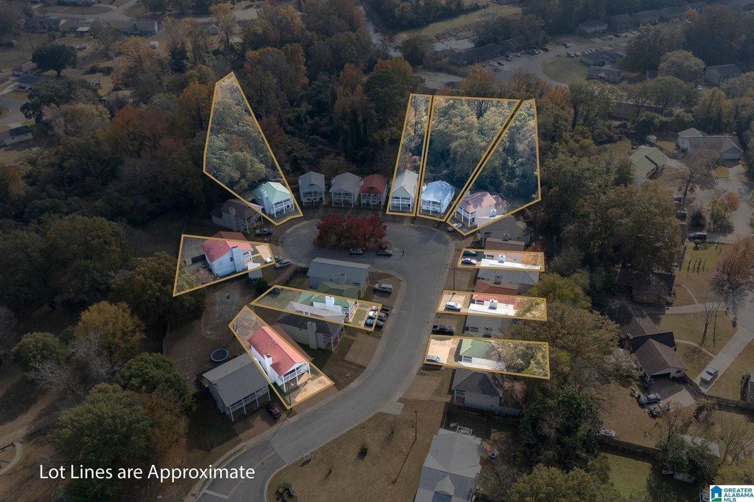 Tuscaloosa, Alabama, United States 2 - 16675549