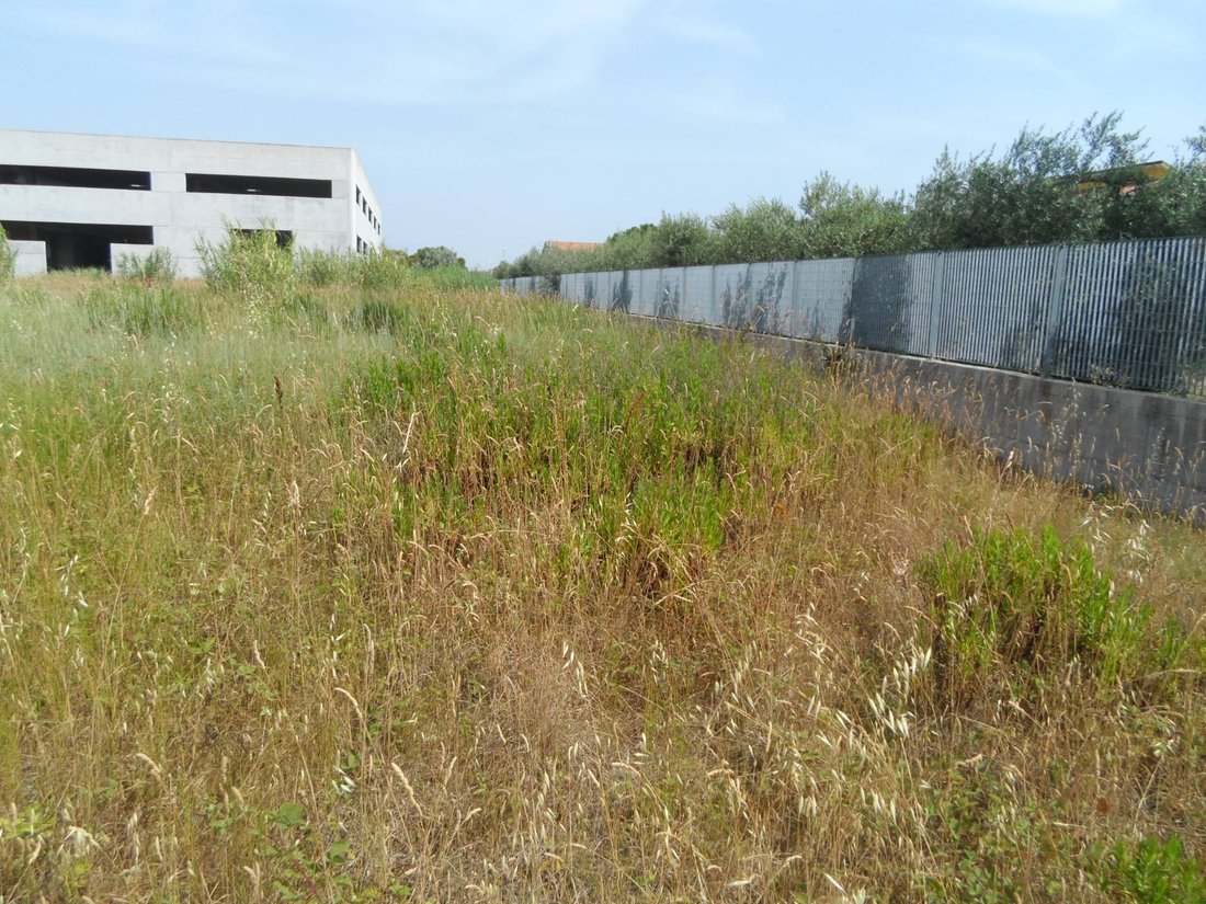 Land in Agraria, San Benedetto del Tronto, Marche 4 - 16679458