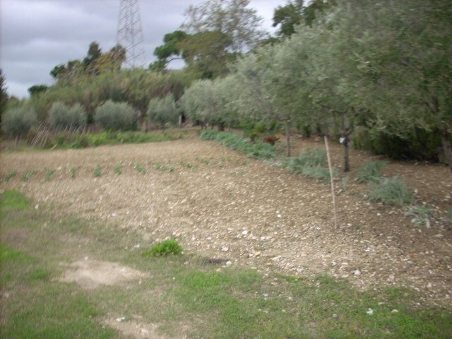 Land in Porto d'Ascoli, San Benedetto del Tronto, Marche 4 - 16679372