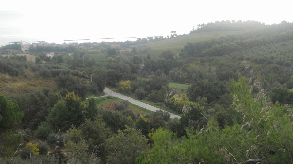 Land in Massignano, Marche, Italy 1 - 16679348