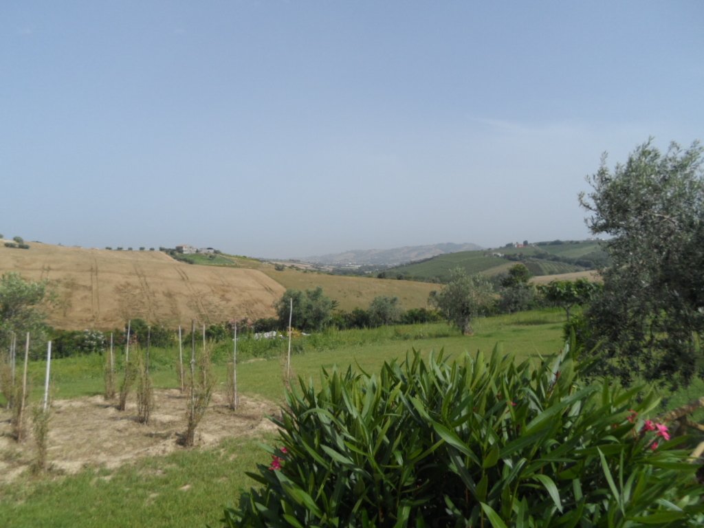 Land in Colonnella, Abruzzo, Italy 3 - 16679377