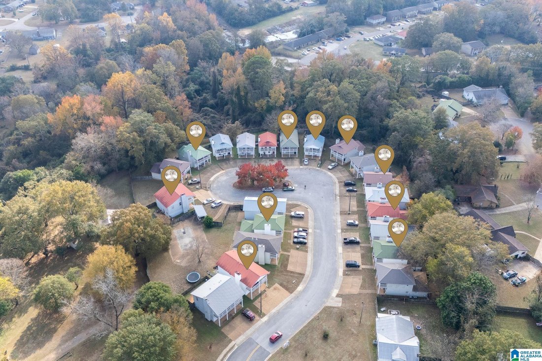 Tuscaloosa, Alabama, United States 1 - 16675549
