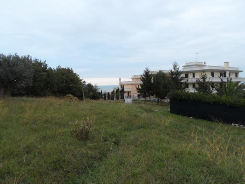 Land in Center, Grottammare, Marche 2 - 16679284