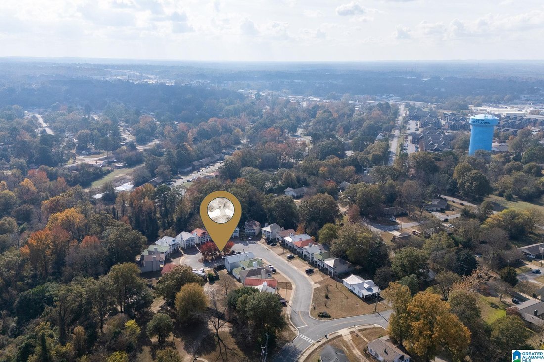 Tuscaloosa, Alabama, United States 5 - 16675549