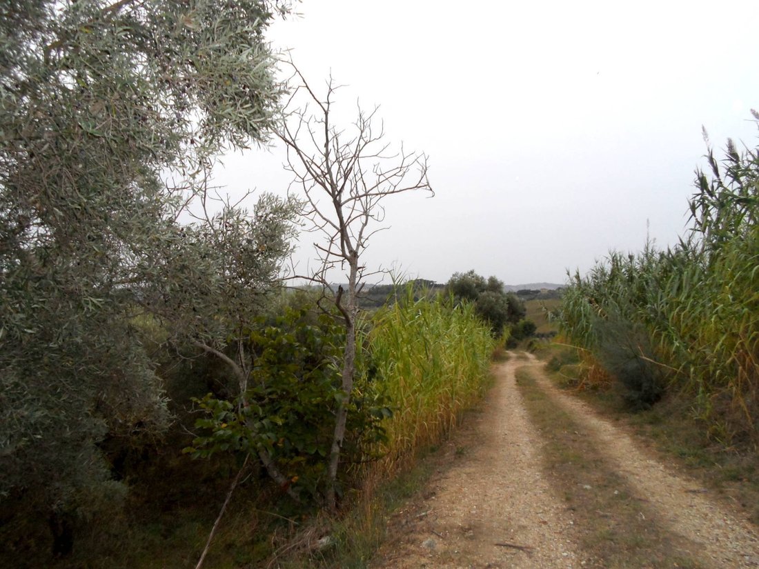 Land in Monteprandone, Marche, Italy 1 - 16679484