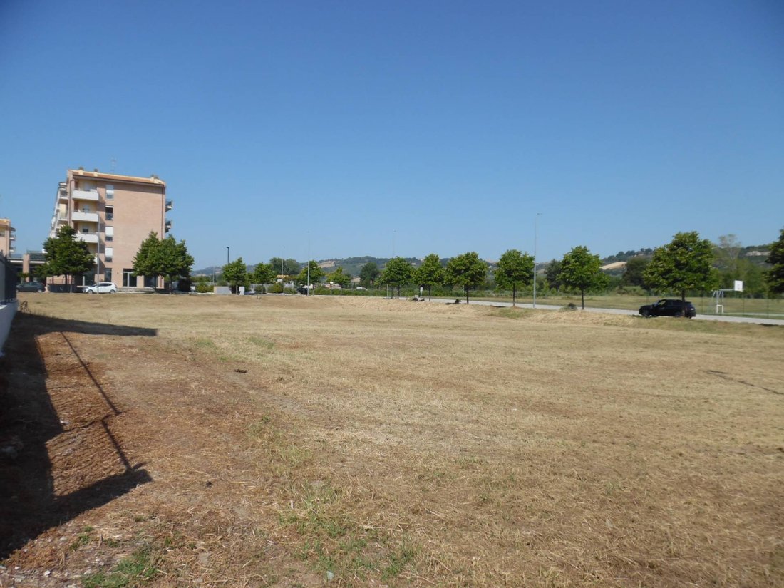 Land in Pedaso, Marche, Italy 4 - 16679488