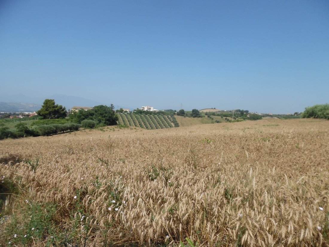 Land in Monteprandone, Marche, Italy 3 - 16679480