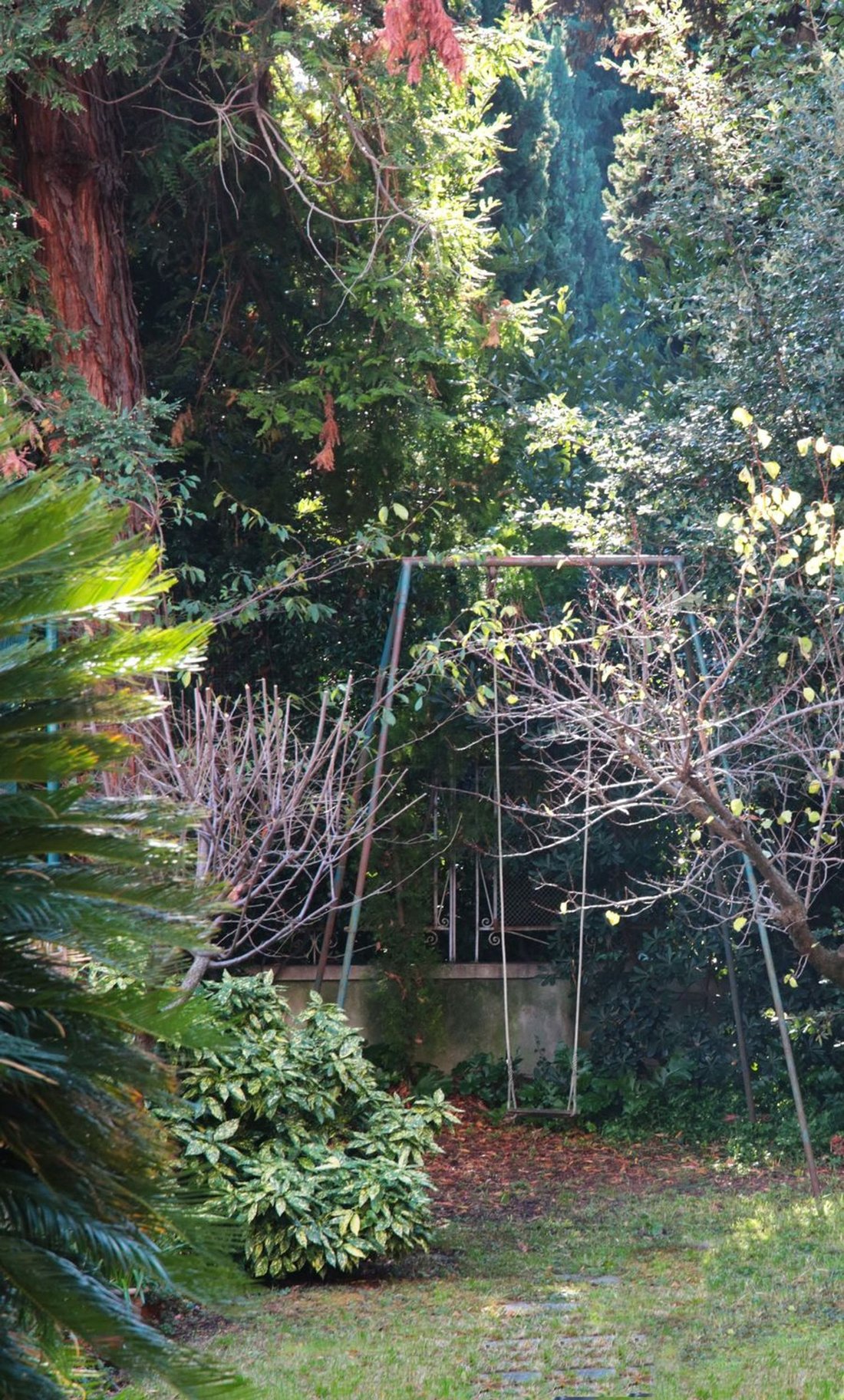 Apartment in Medio Levante, Genoa, Liguria 5 - 16674113