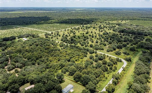Land in Arcadia, Florida, Vereinigte Staaten 1
