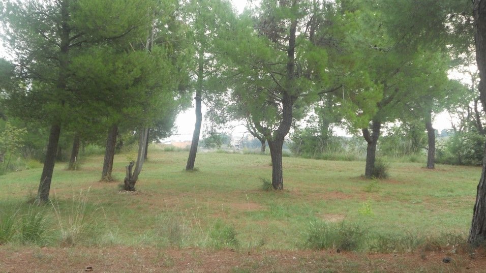 Land in Massignano, Marche, Italy 2 - 16679348