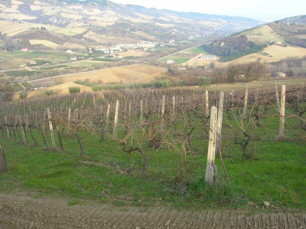 House in Ripatransone, Marche, Italy 4 - 16679355