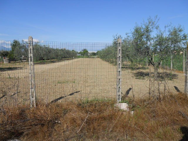 Land in Monteprandone, Marche, Italy 2 - 16679426