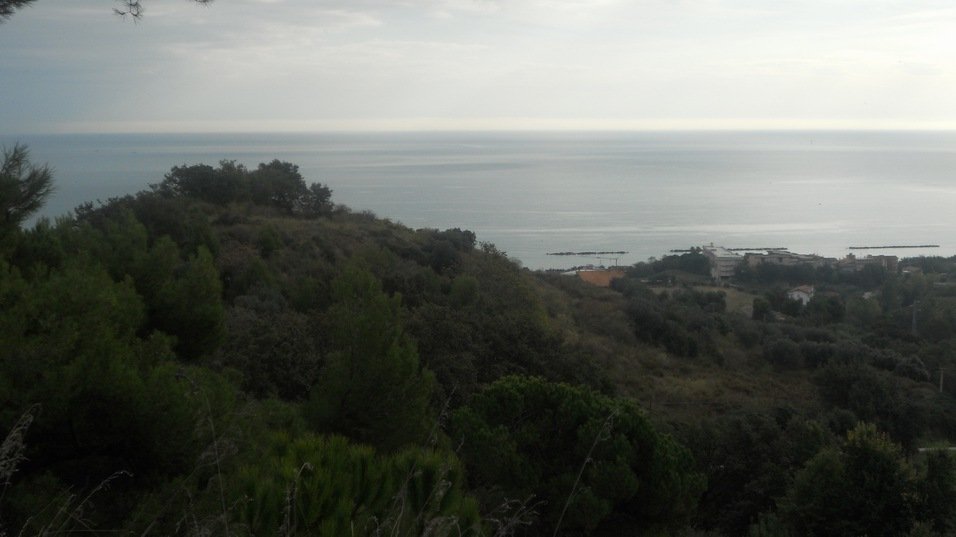 Land in Massignano, Marche, Italy 5 - 16679348