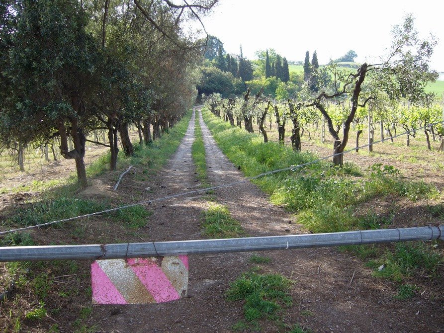 Land in Italy 4 - 16679277