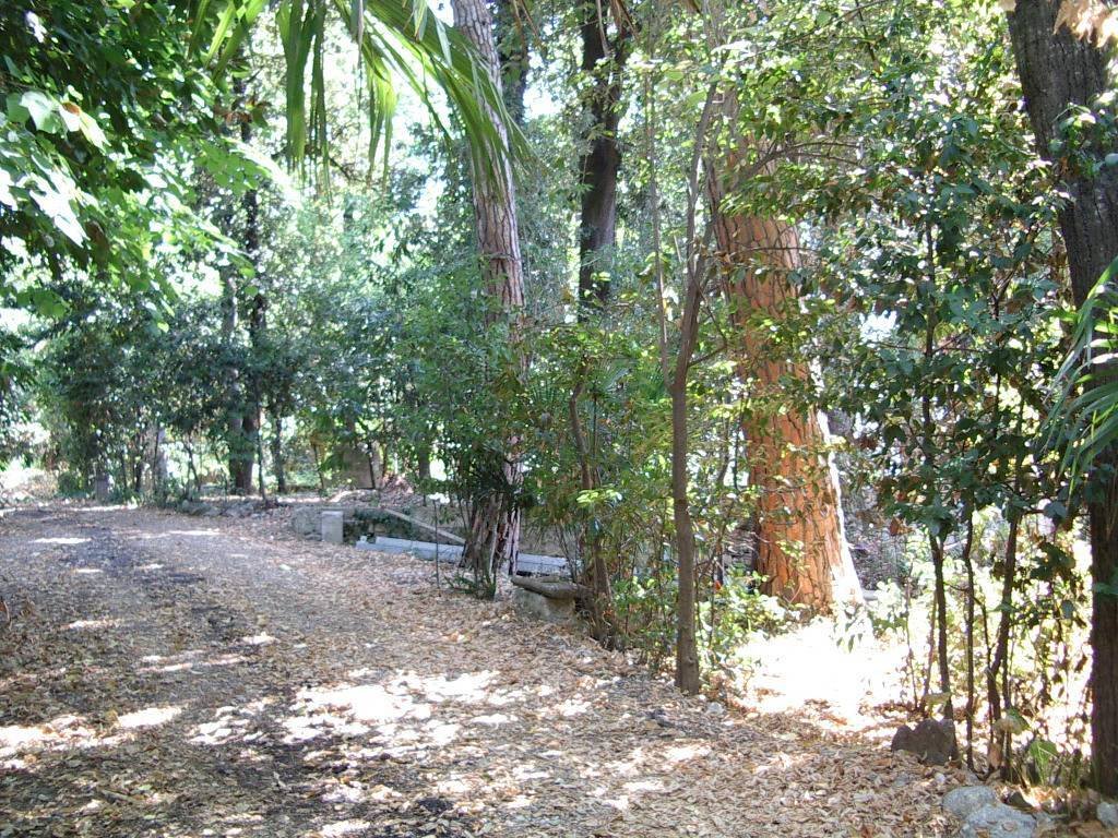 Villa in Colli del Tronto, Marche, Italy 3 - 16679495