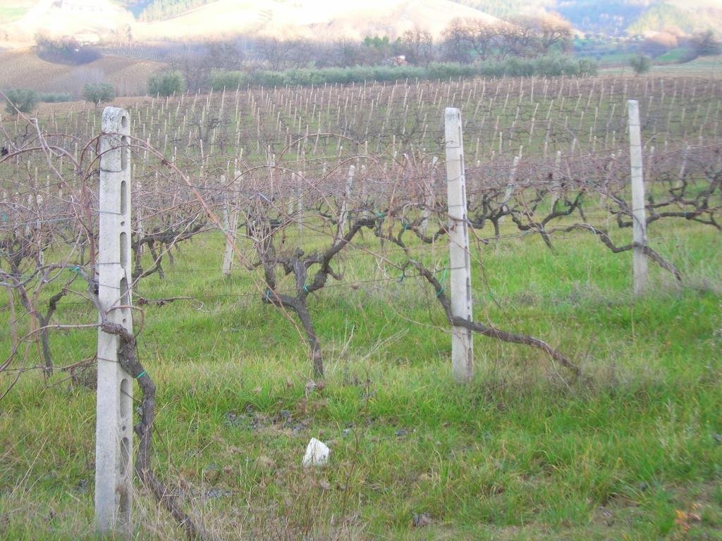 House in Ripatransone, Marche, Italy 4 - 16679354