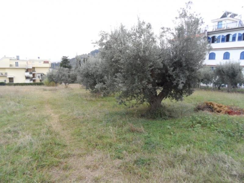 Land in Center, Grottammare, Marche 4 - 16679284