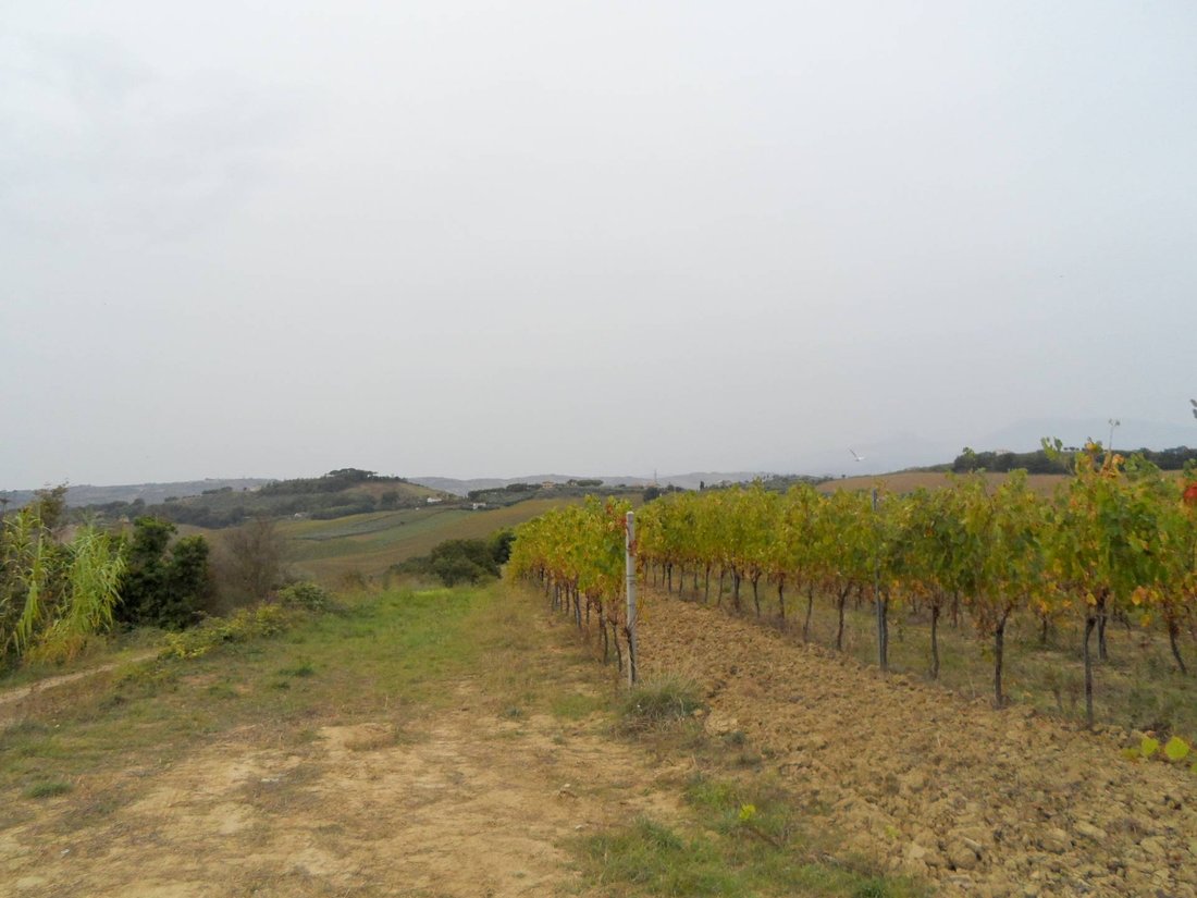 Land in Monteprandone, Marche, Italy 4 - 16679484