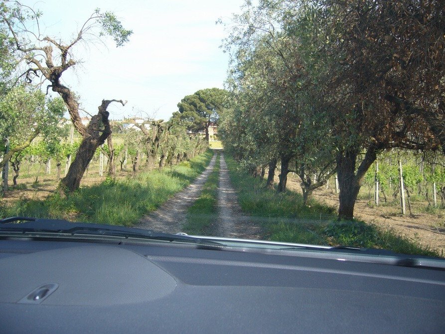 Land in Italy 3 - 16679277
