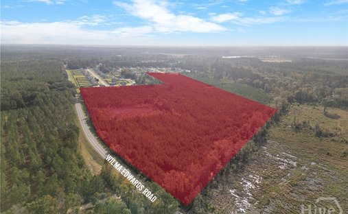 Land in Ellabell, Georgia, United States 1