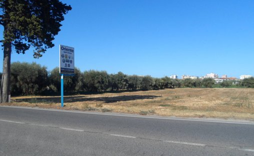 Land in Alba Adriatica, Abruzzen, Italien 1