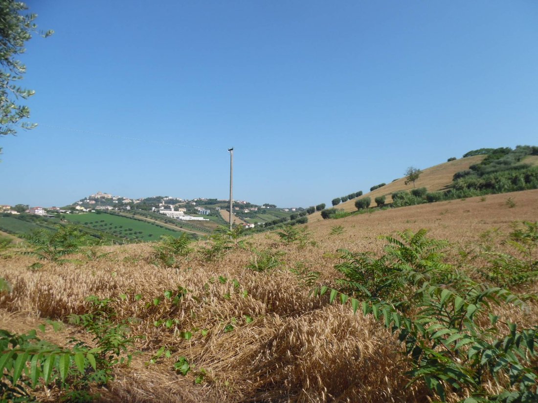 Land in Monteprandone, Marche, Italy 5 - 16679480