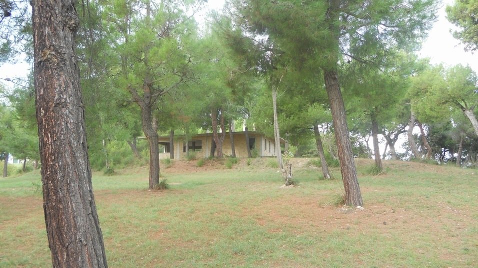 Land in Massignano, Marche, Italy 3 - 16679348