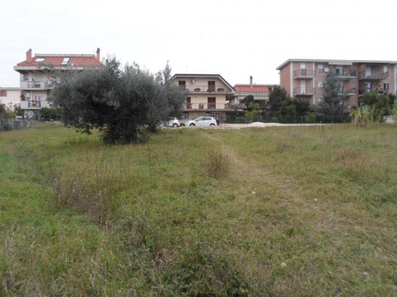 Land in Center, Grottammare, Marche 5 - 16679284