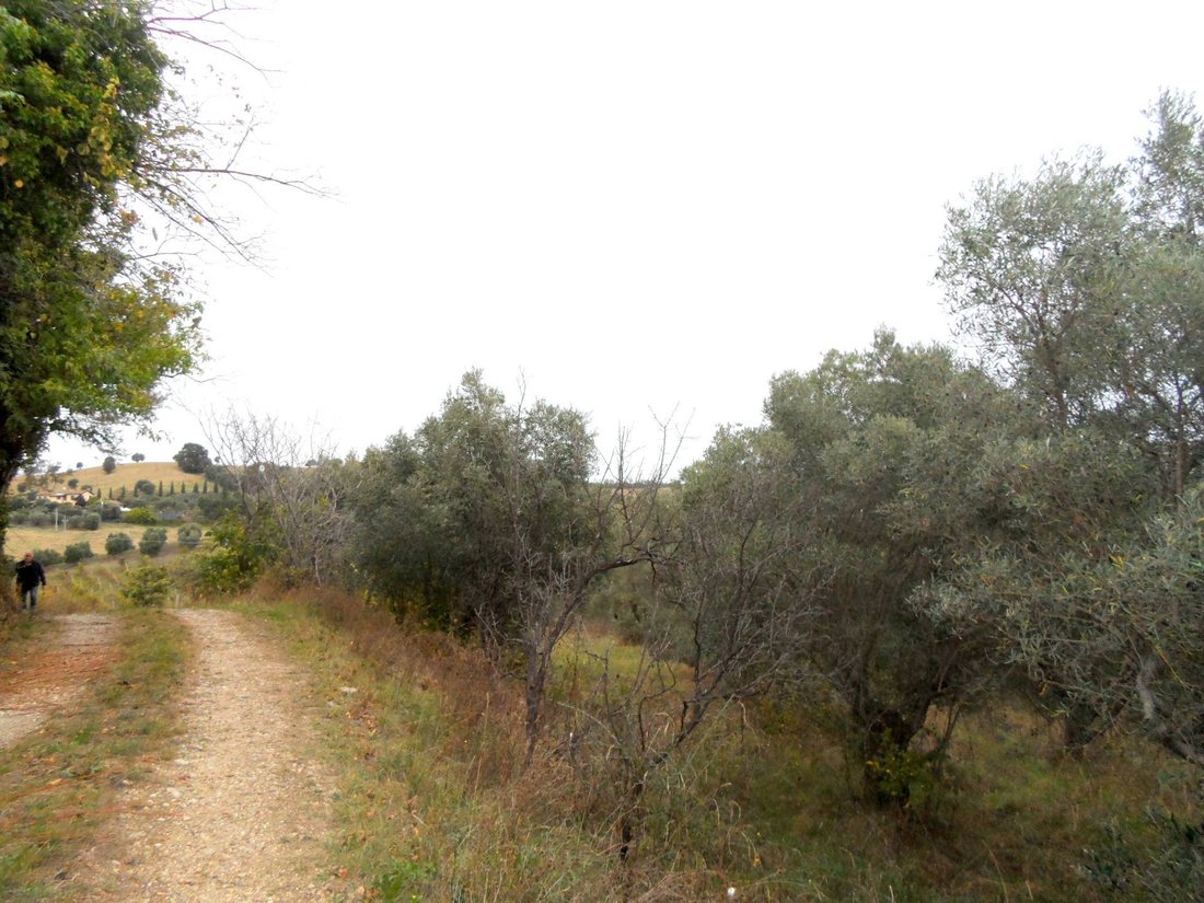 Land in Monteprandone, Marche, Italy 2 - 16679484