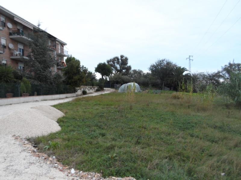 Land in Center, Grottammare, Marche 3 - 16679284