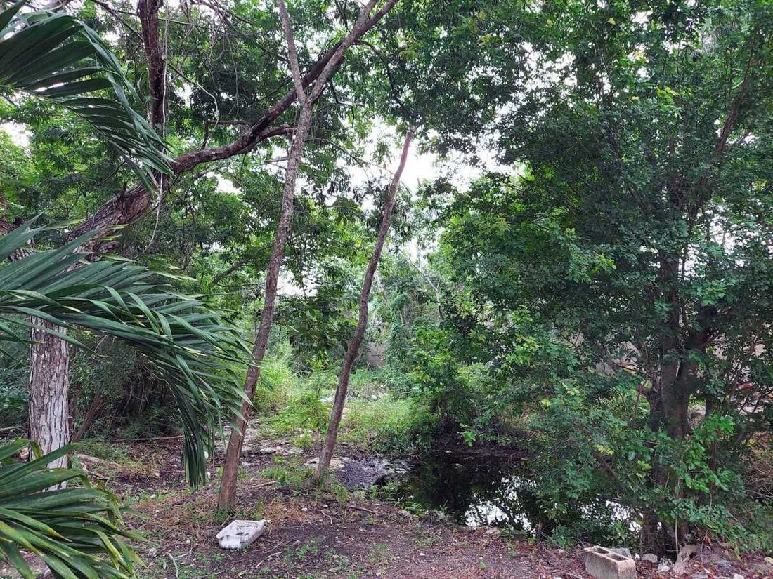 Land in Cancún, Quintana Roo, Mexico 5 - 15931200
