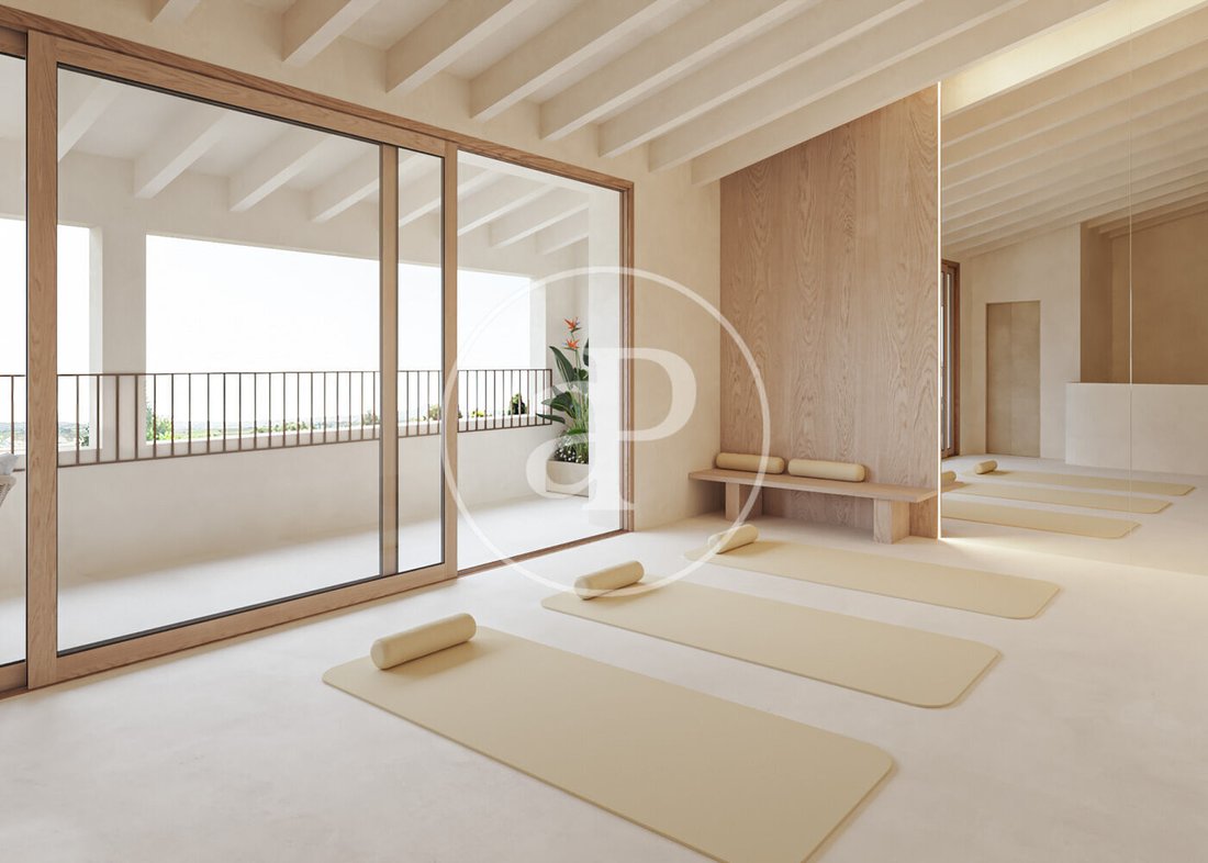 Villa in Santanyi, Balearic Islands, Spain 3 - 16676492