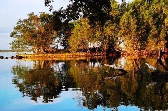 Land in Buenavista, Quintana Roo, Mexico 1 - 15931241