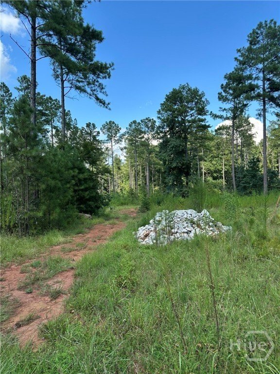 Land in Madison, Georgia, United States 5 - 16274523