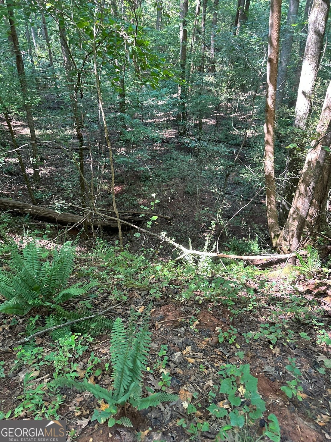 Land in Madison, Georgia, United States 3 - 16274521