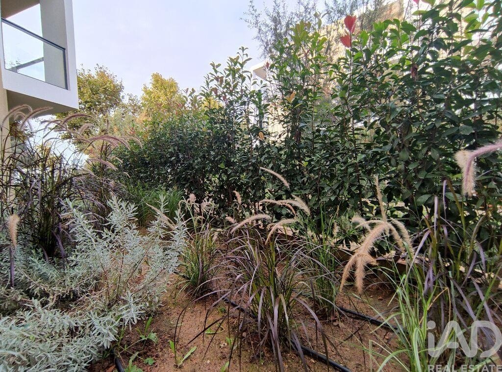 Apartment in Portimao, Algarve, Portugal 4 - 16680567