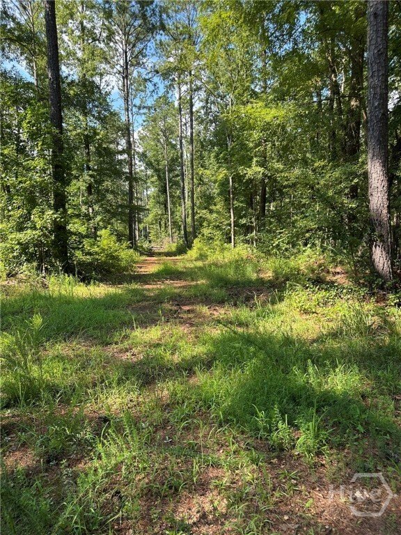 Farm Ranch in Madison, Georgia, United States 4 - 16676955