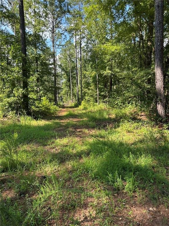Land in Madison, Georgia, United States 4 - 16676965