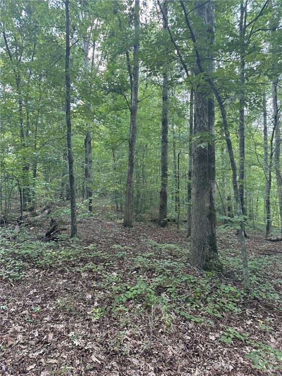 Land in Madison, Georgia, United States 2 - 16676965