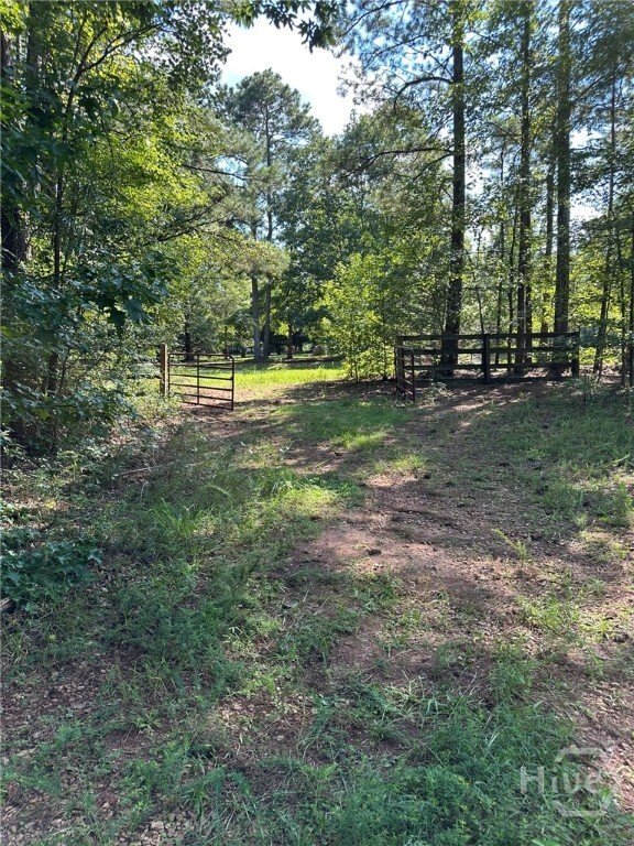 Farm Ranch in Madison, Georgia, United States 1 - 16676955