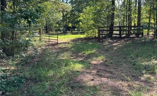 Farm Ranch in Madison, Georgia, United States 1