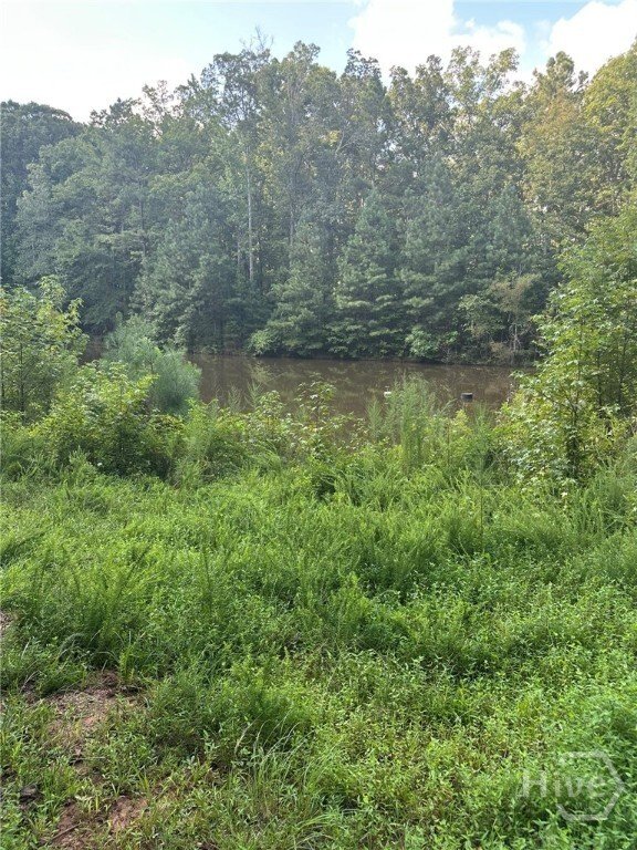 Farm Ranch in Madison, Georgia, United States 3 - 16676955