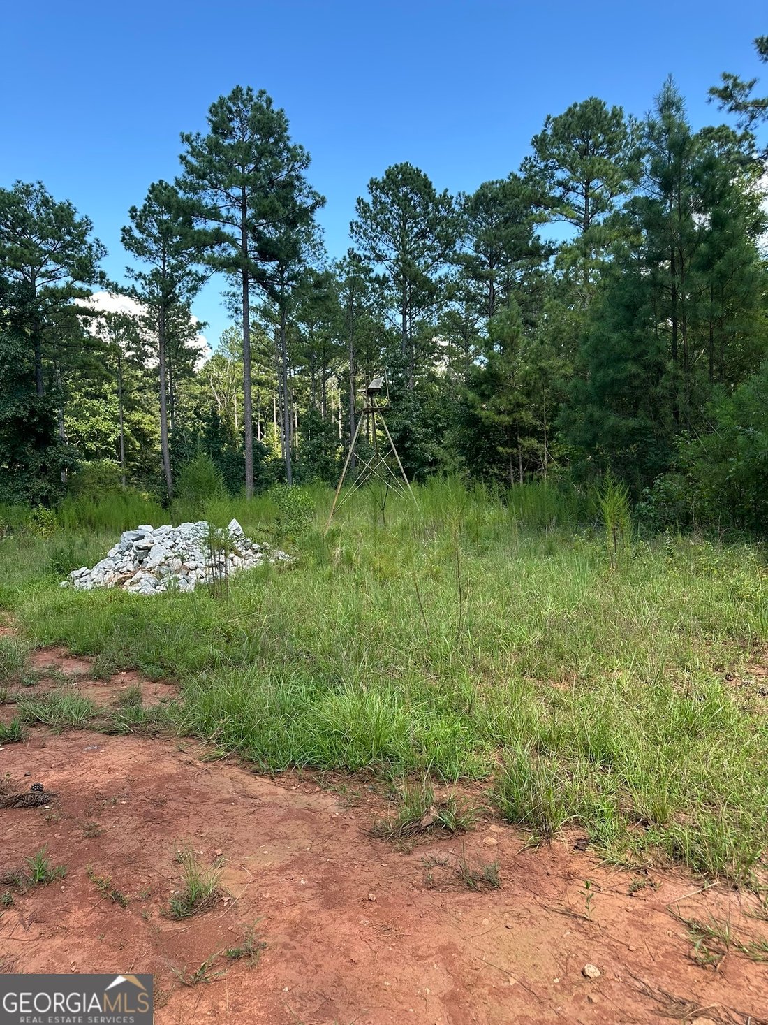 Land in Madison, Georgia, United States 5 - 16274521