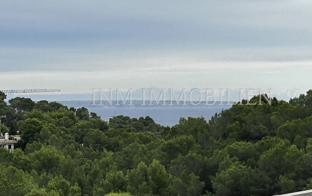 Villa in Costa d'en Blanes, Calvia, Balearic Islands 5 - 16680858