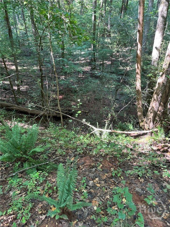 Land in Madison, Georgia, United States 3 - 16676963