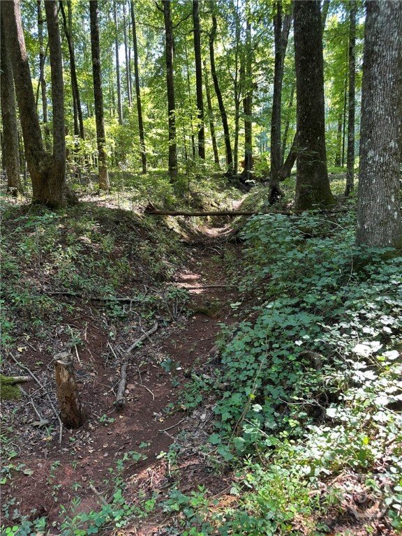 Land in Madison, Georgia, United States 2 - 16274523