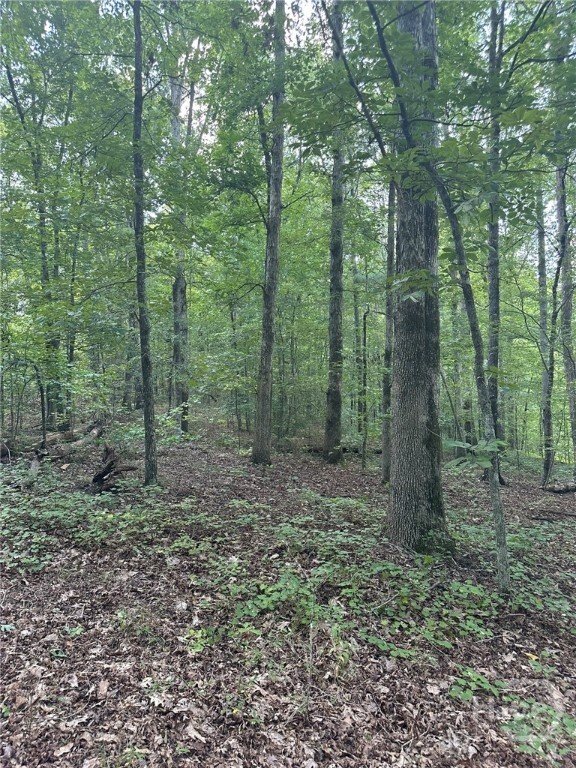 Farm Ranch in Madison, Georgia, United States 2 - 16676955