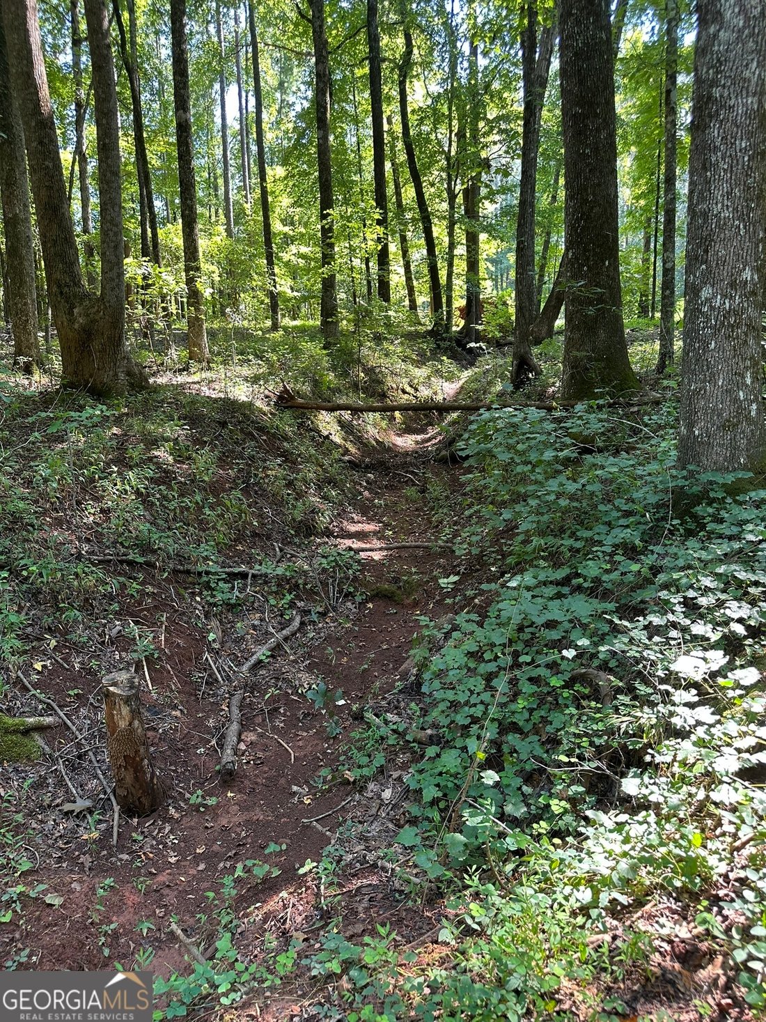 Land in Madison, Georgia, United States 2 - 16274521