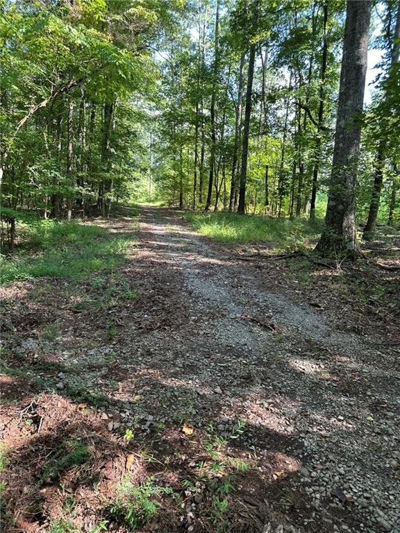 Land in Madison, Georgia, United States 5 - 16676965