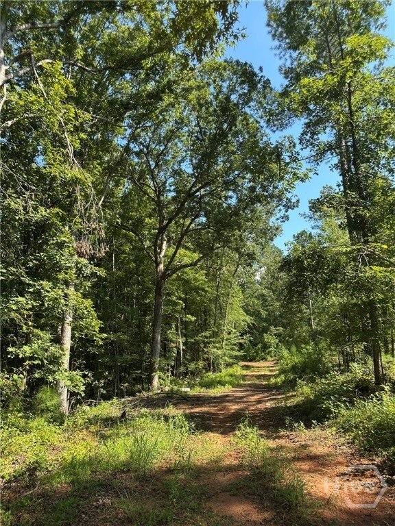 Land in Madison, Georgia, United States 1 - 16676963